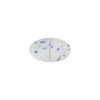 Phentermine (K 25) [Loose]